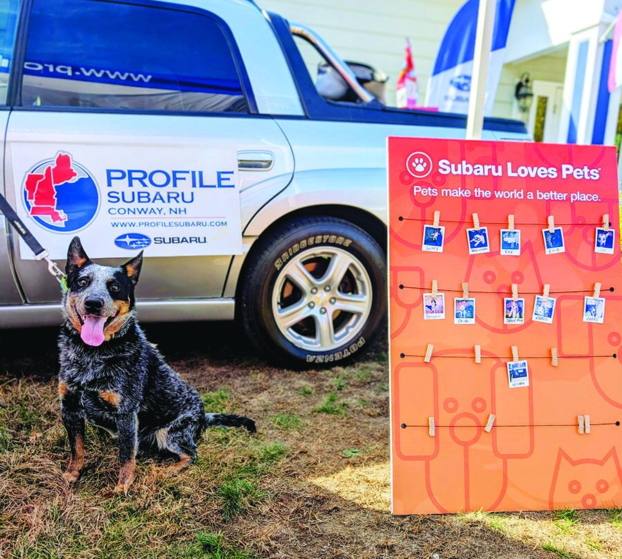 Successful Subaru Loves Pets event at Conway Area Humane Society